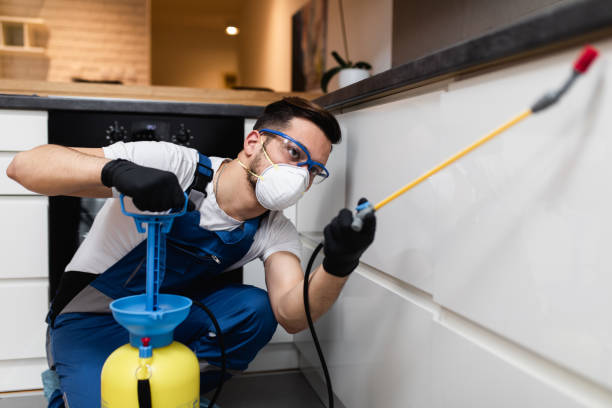 Best Insect Control  in Ashland City, TN