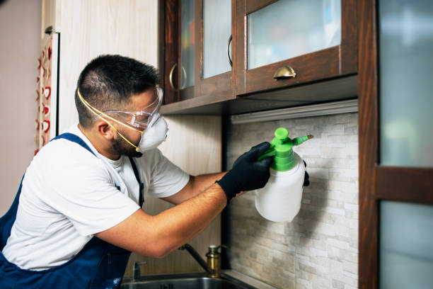 Best Commercial Pest Control Services  in Ashland City, TN