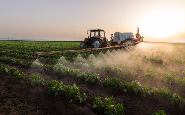 Professional Pest Control in Ashland City, TN