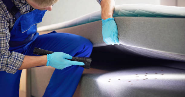 Best Affordable Pest Control Services  in Ashland City, TN