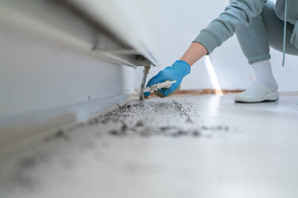 Best Termite Control Services  in Ashland City, TN