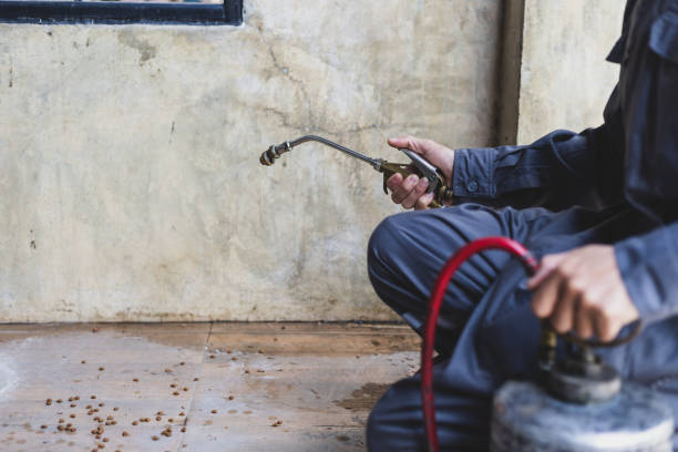 Best Mosquito Control Services  in Ashland City, TN